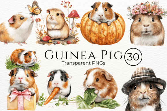 Guinea Pig Watercolor Cliparts