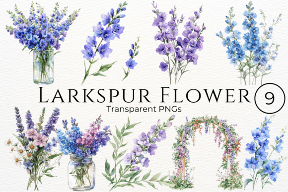 Larkspur Flower Watercolor Cliparts