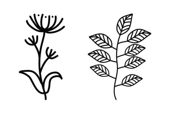 Line Art Floral Set