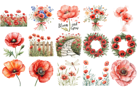 Poppy Flower Watercolor Cliparts